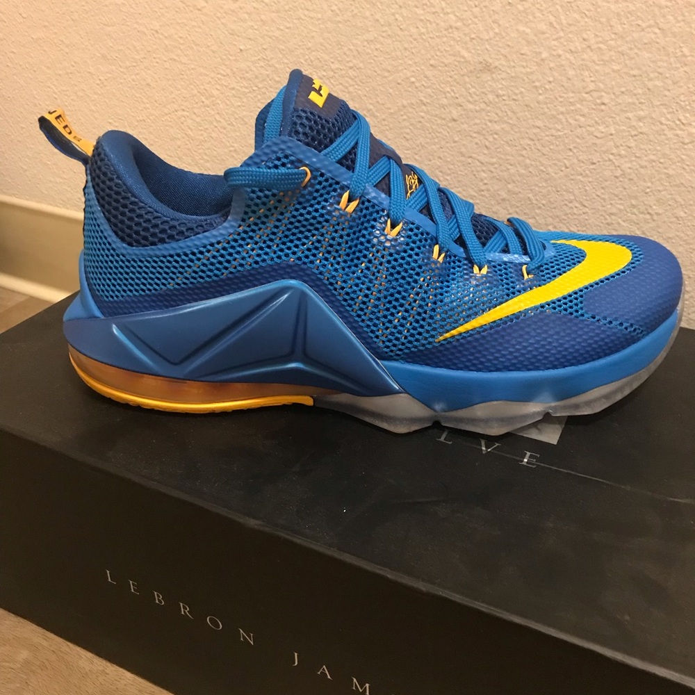 ‼️SOLD‼️Nike LEBRON XII Low Entourage